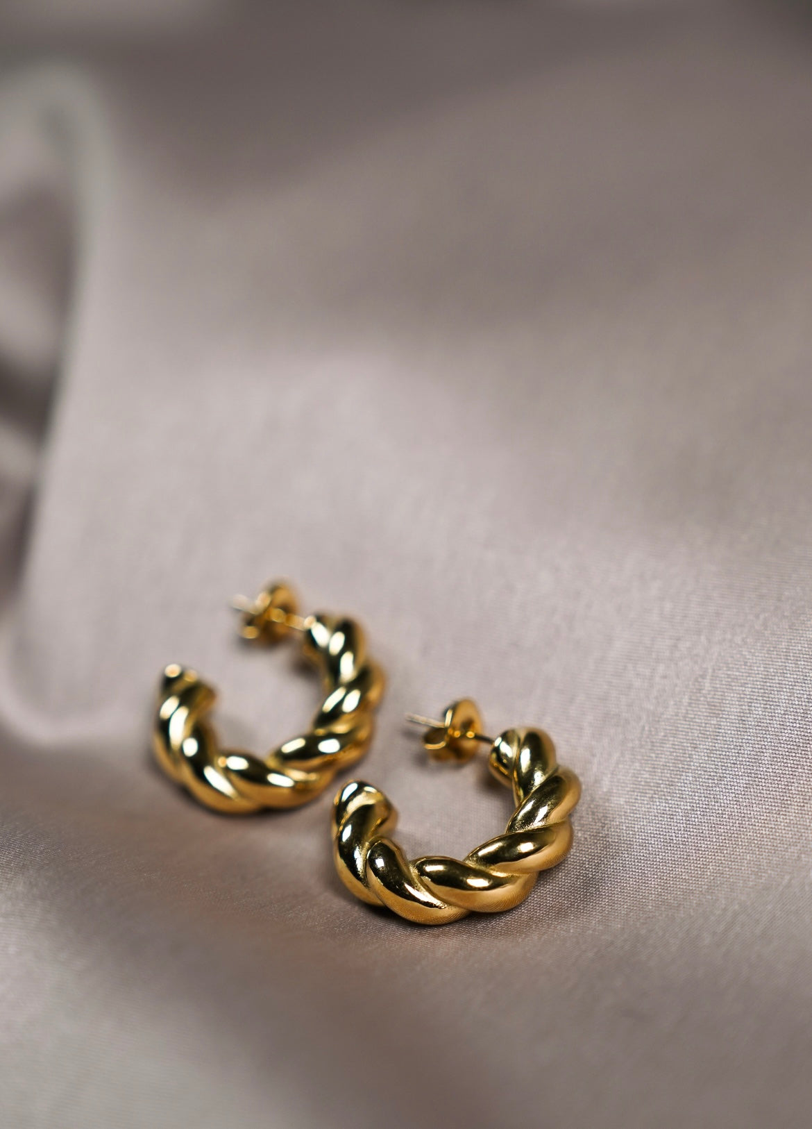 Spring Loop Earring